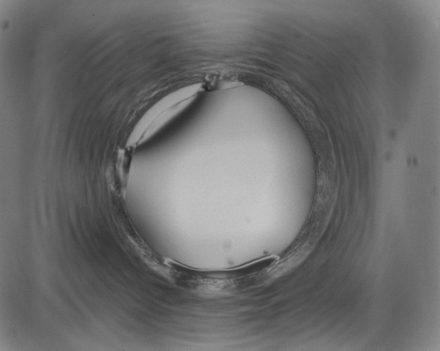 X0000081600096200702121600