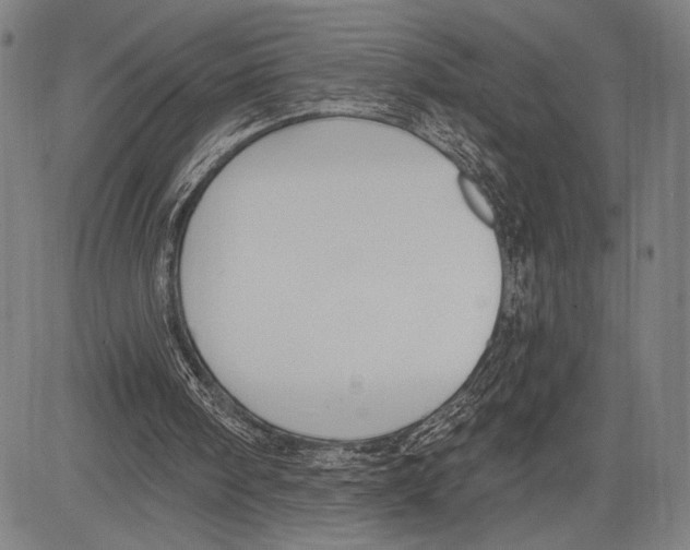 X0000081600098200702121559