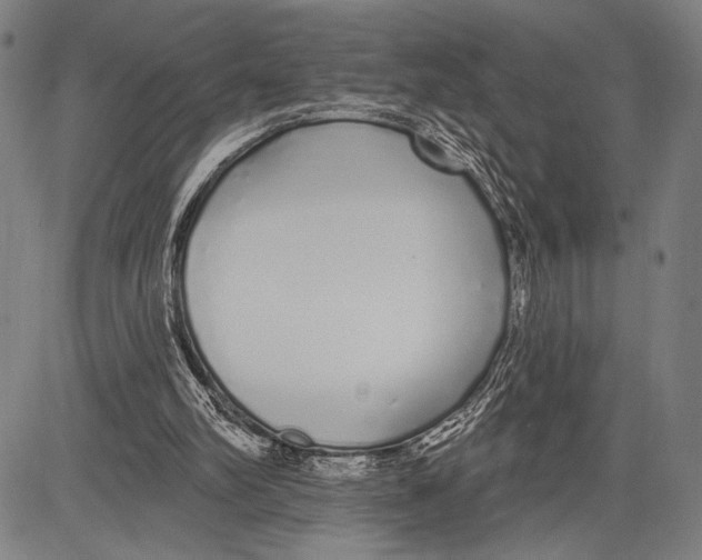 X0000081600102200702121559