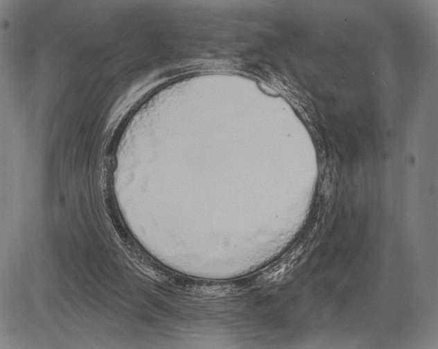 X0000081600103200702121559