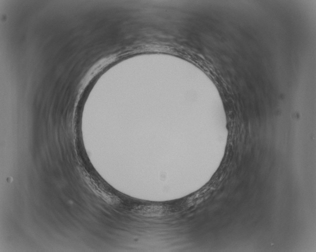 X0000081600104200702121559