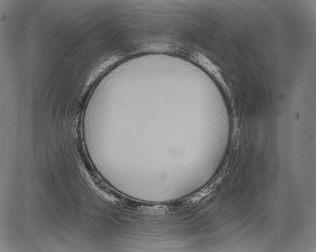 X0000081600106200702121559