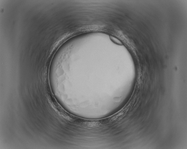 X0000081600107200702121559