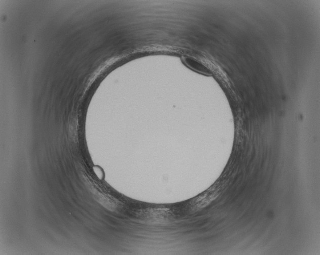 X0000081600108200702121559