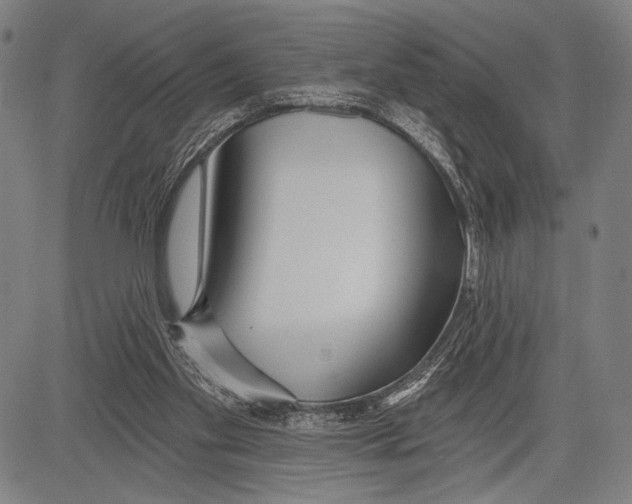 X0000081600109200702121559