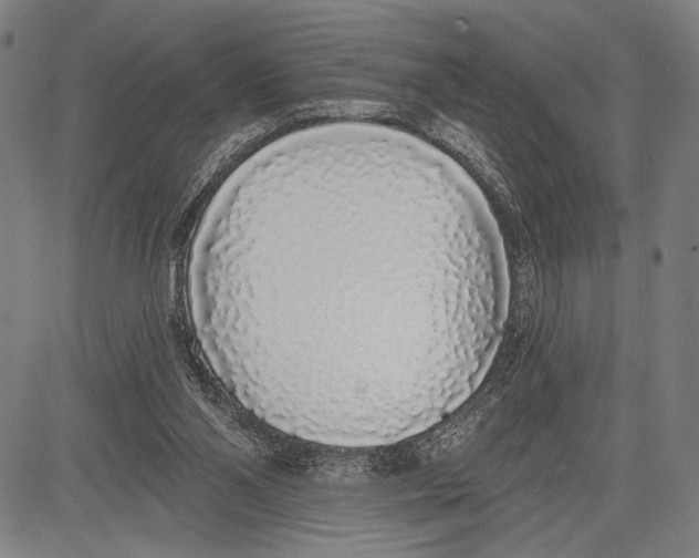 X0000081600110200702121559