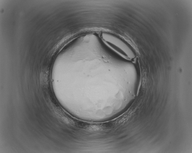 X0000081600111200702121559