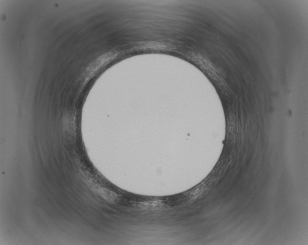 X0000081600112200702121559