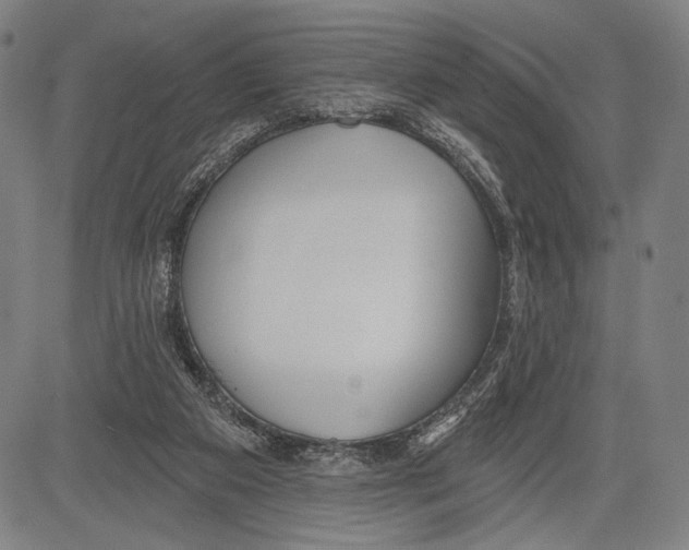 X0000081600113200702121559