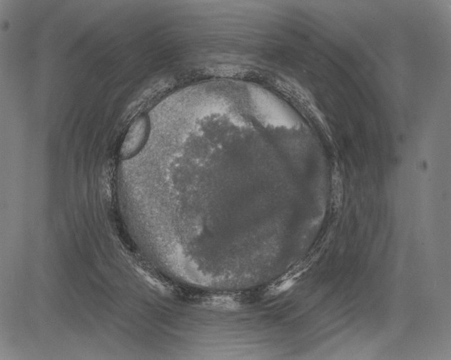 X0000081600114200702121559