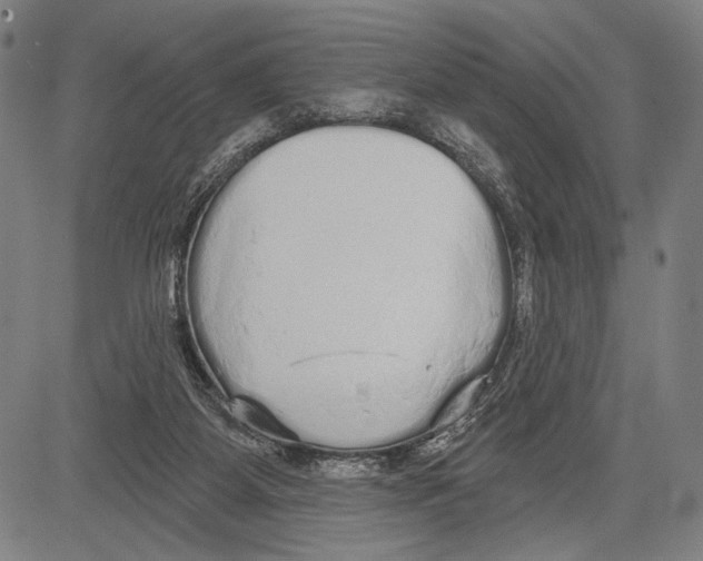 X0000081600115200702121559