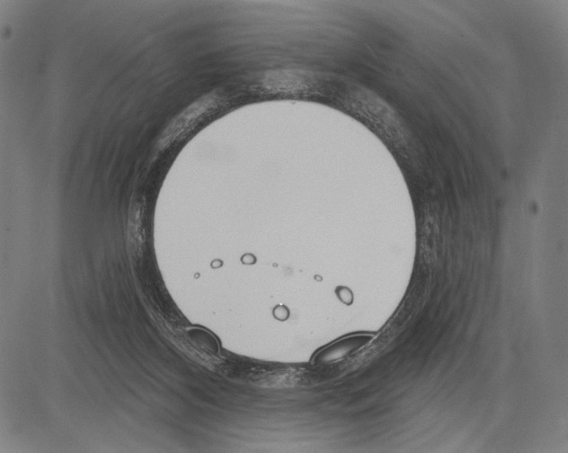 X0000081600116200702121559