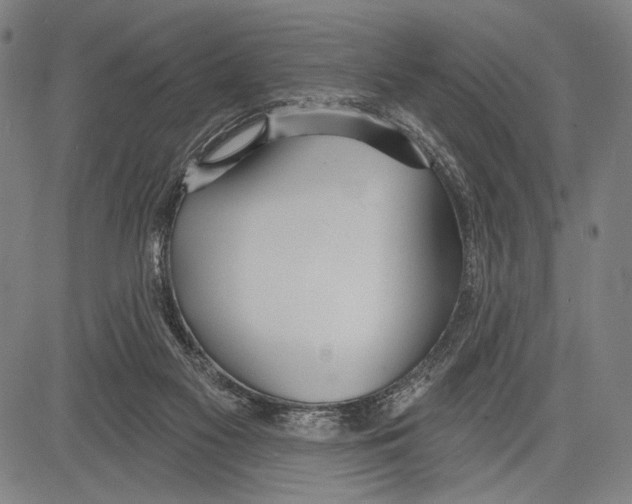 X0000081600117200702121559