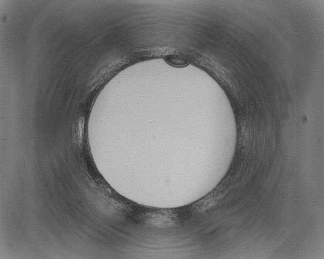 X0000081600118200702121559