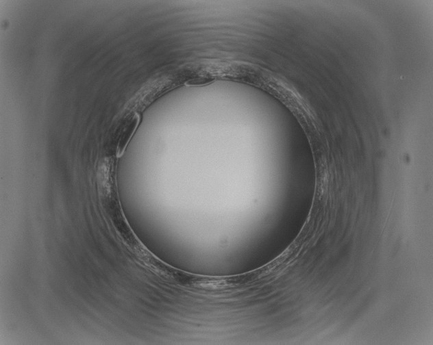 X0000081600121200702121559