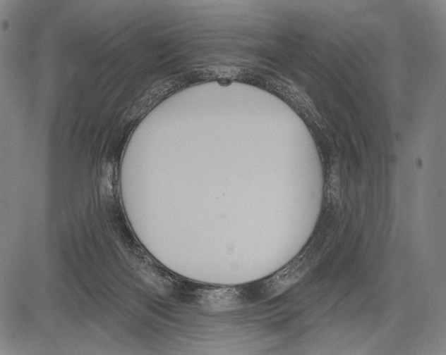 X0000081600122200702121559