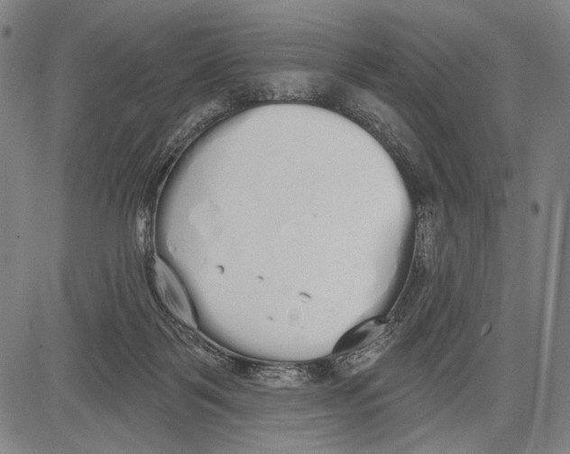 X0000081600123200702121559