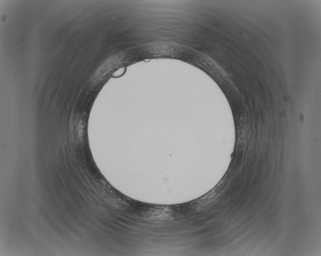 X0000081600124200702121559