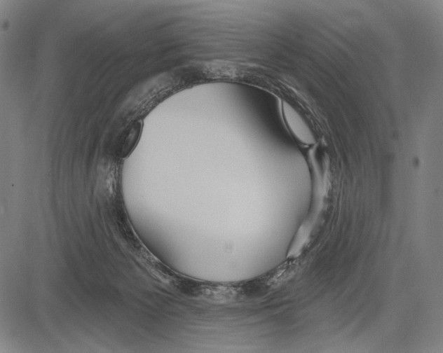 X0000081600125200702121559