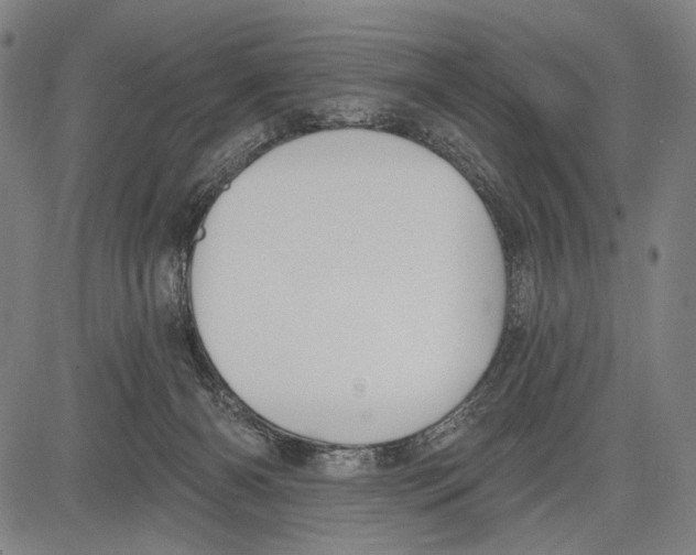 X0000081600126200702121559