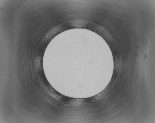 X0000081600128200702121559