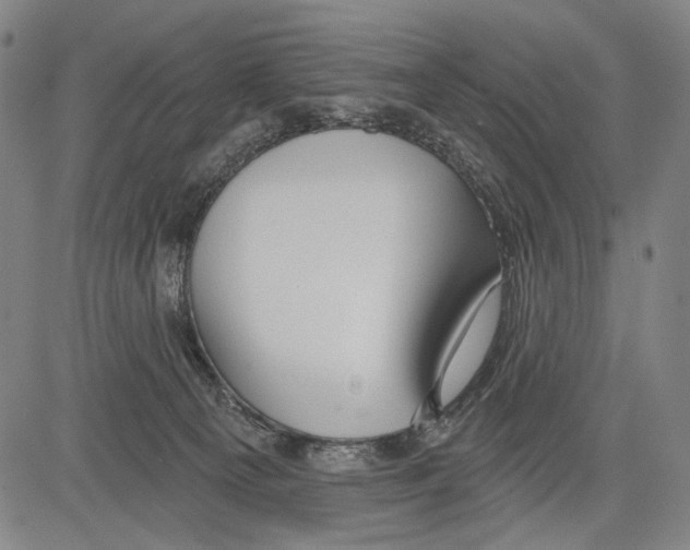 X0000081600129200702121559