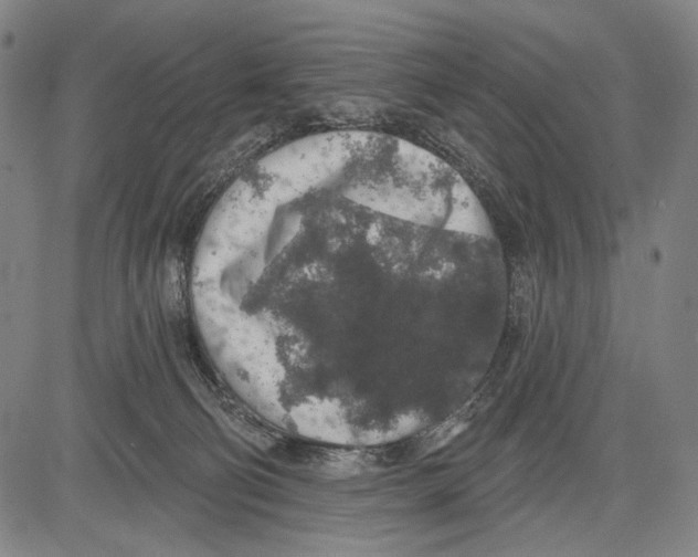 X0000081600130200702121559