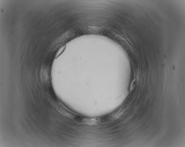 X0000081600131200702121559