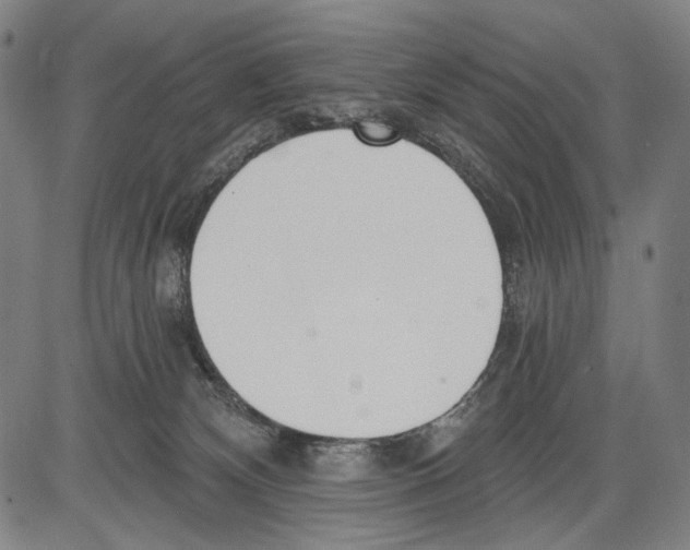 X0000081600132200702121559