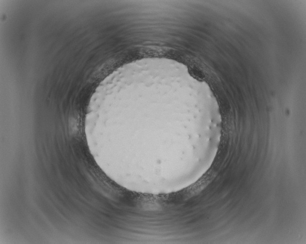 X0000081600134200702121559