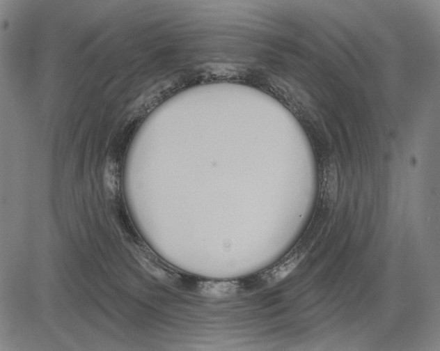 X0000081600135200702121559