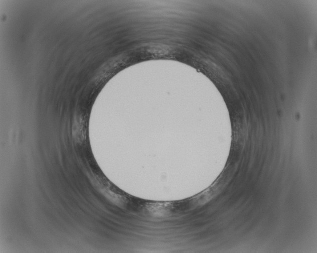 X0000081600136200702121559