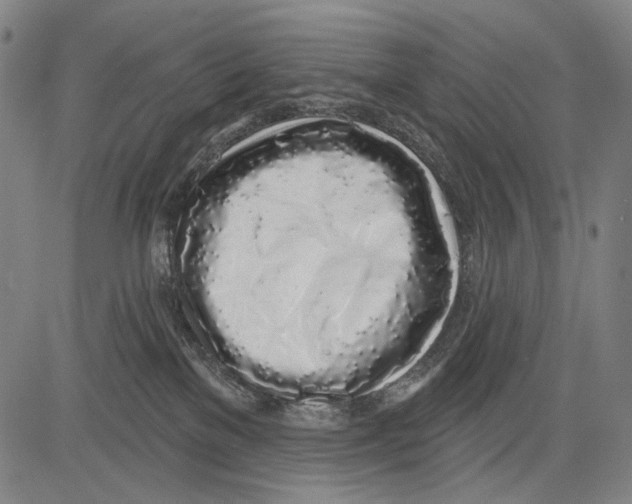 X0000081600137200702121559