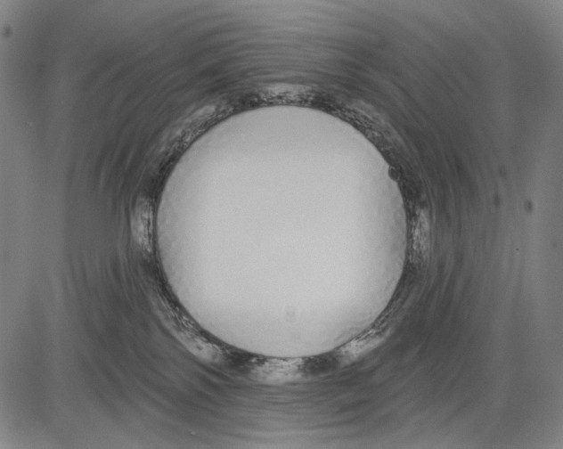 X0000081600138200702121559