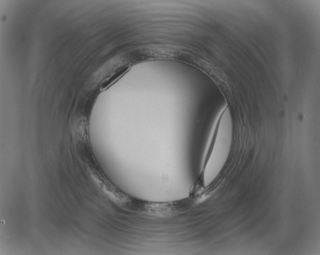 X0000081600141200702121559