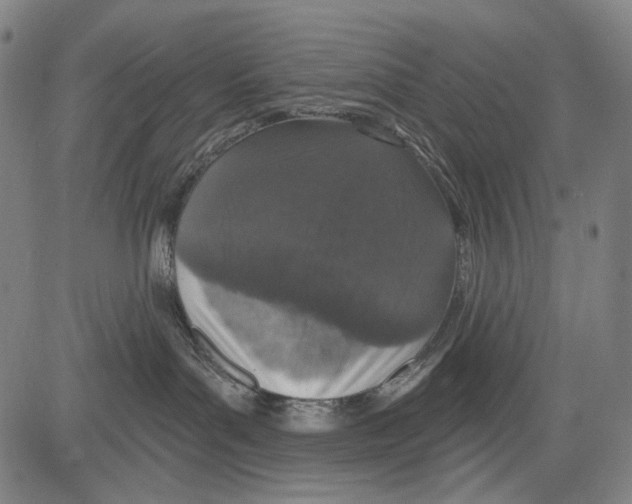 X0000081600143200702121559