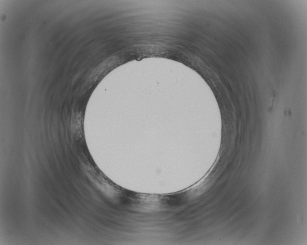 X0000081600144200702121559