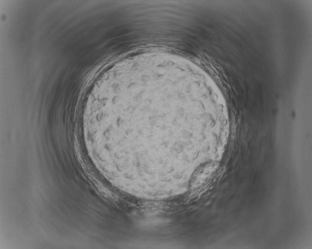 X0000081600145200702121558