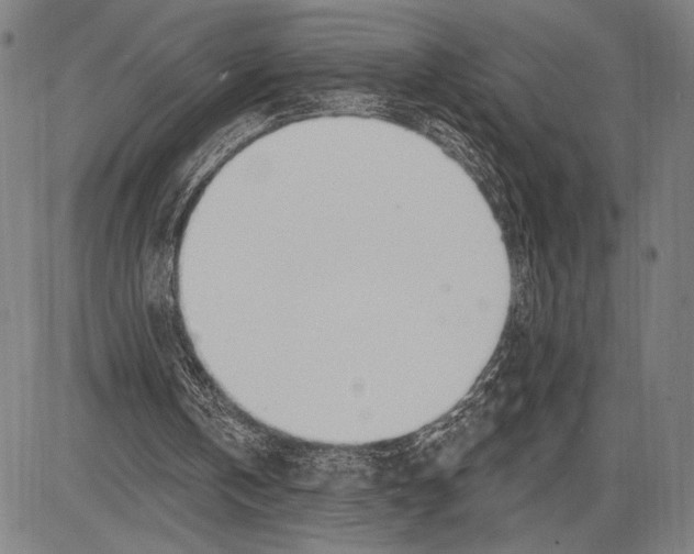 X0000081600146200702121558