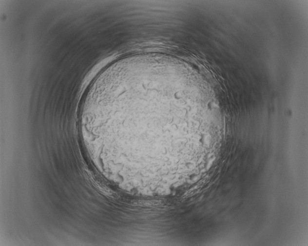 X0000081600147200702121558