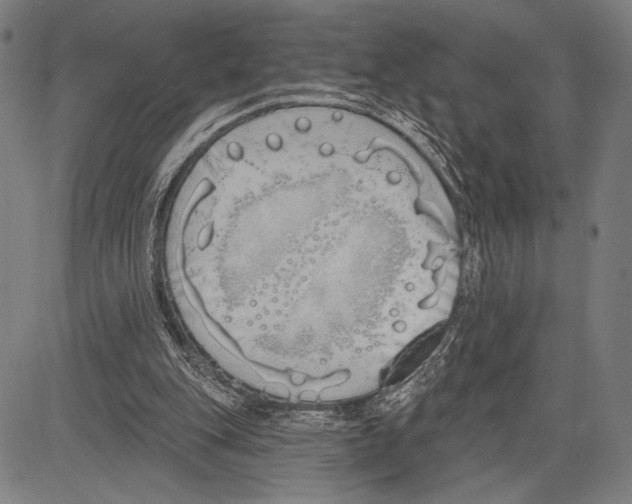 X0000081600151200702121558