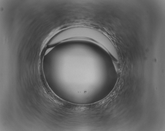 X0000081600152200702121558