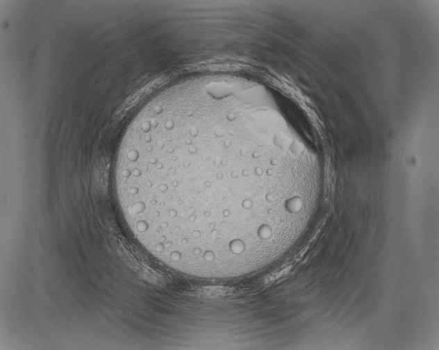 X0000081600153200702121558