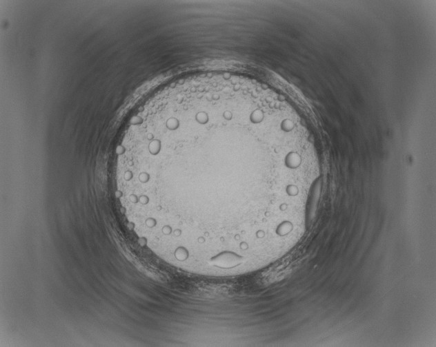 X0000081600155200702121558