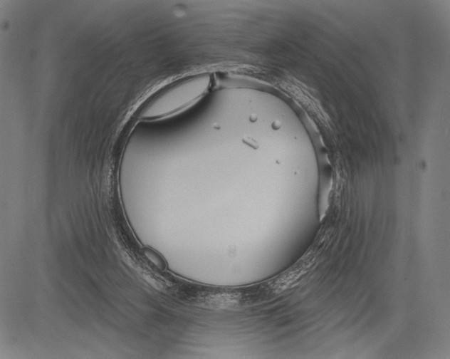 X0000081600156200702121558