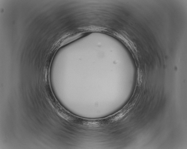 X0000081600157200702121558