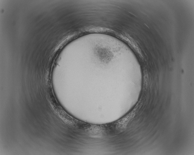 X0000081600159200702121558