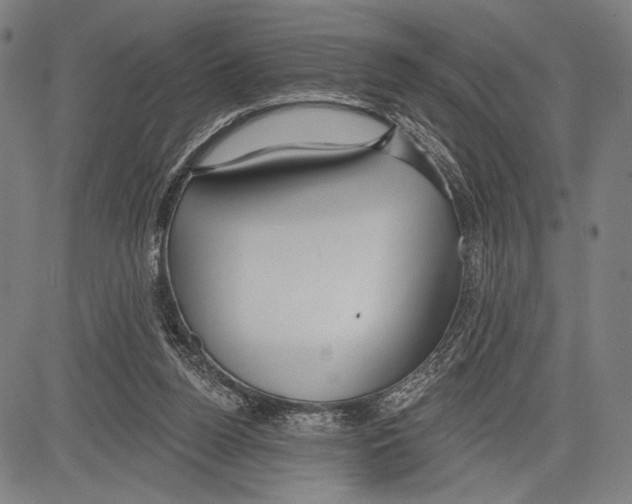 X0000081600160200702121558