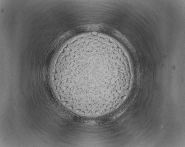 X0000081600161200702121558