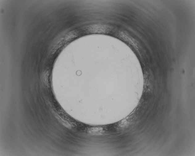 X0000081600162200702121558